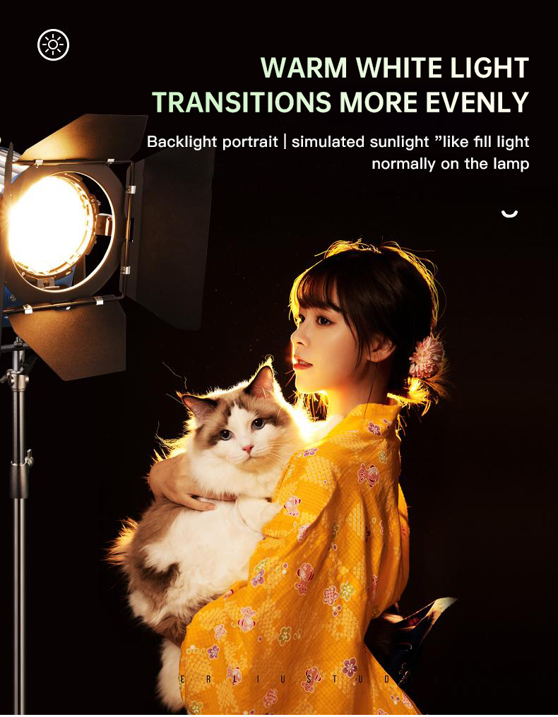 Beiyang 2000W Spotlight Hair L – обзор и цена Photography Lighting For Portraits