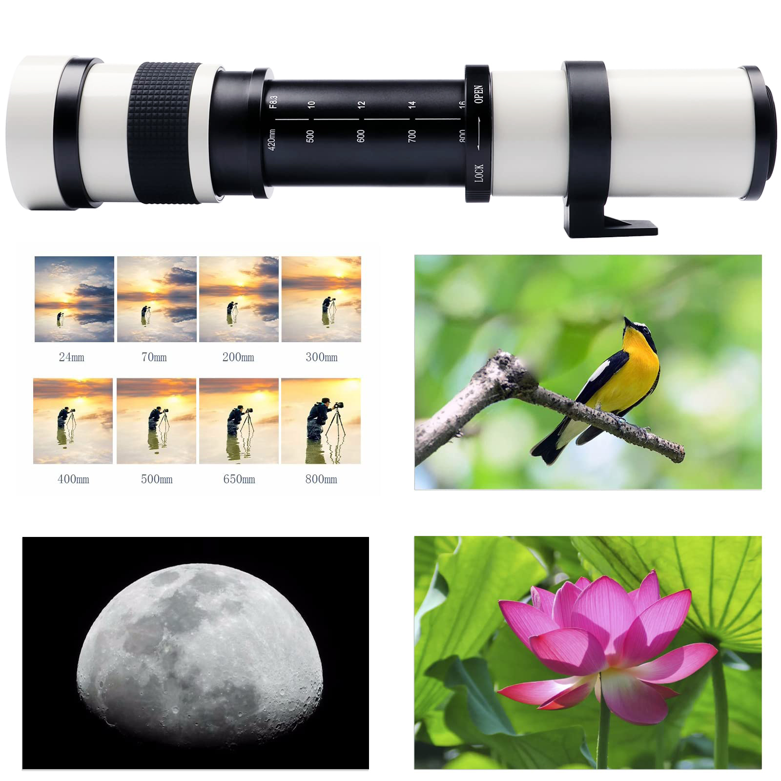 420-1600mm F8.3 Full-Frame Med – обзор и цена Macro Photography Lighting Kit
