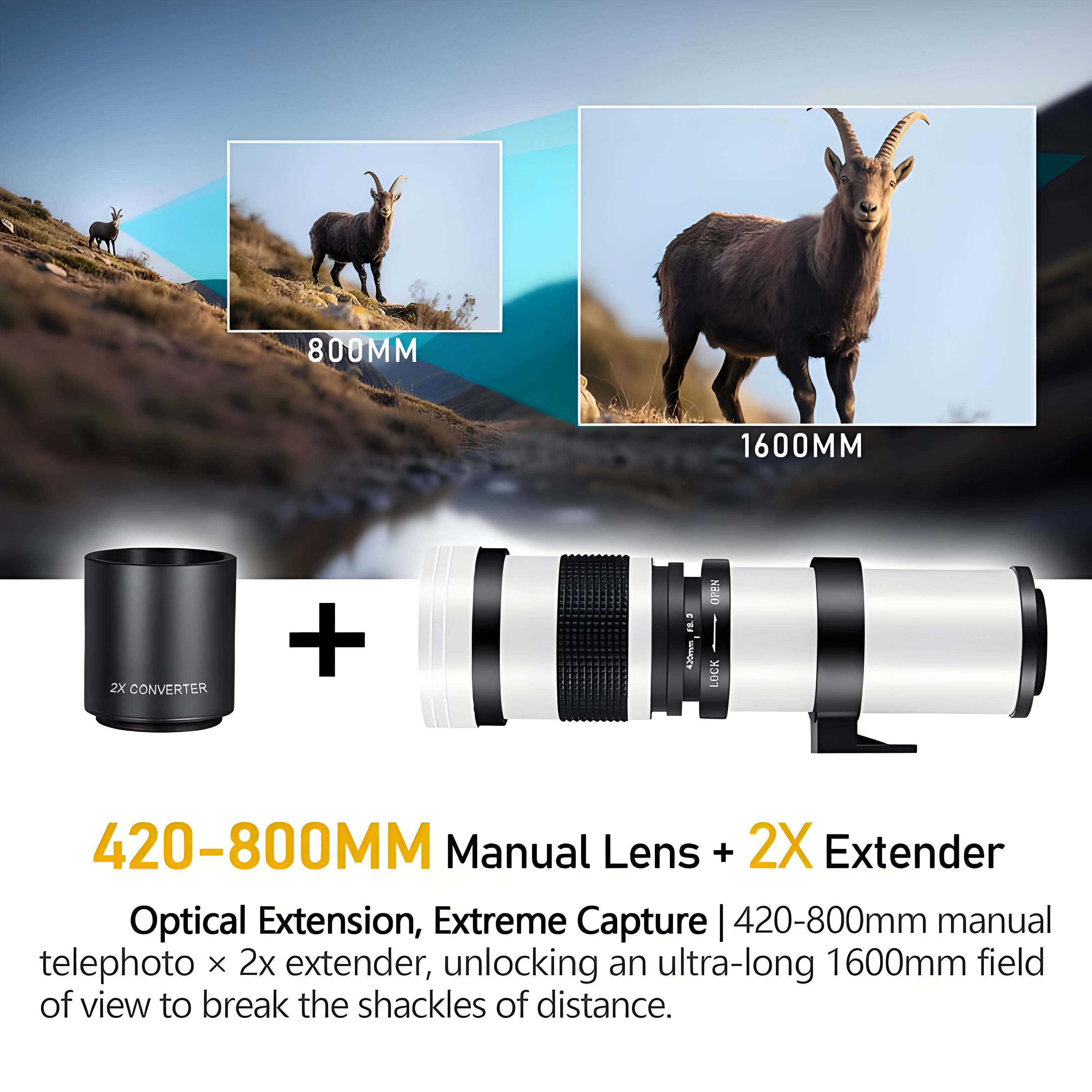 420-1600mm F8.3 Full-Frame Med – обзор и цена Macro Photography Lighting Kit