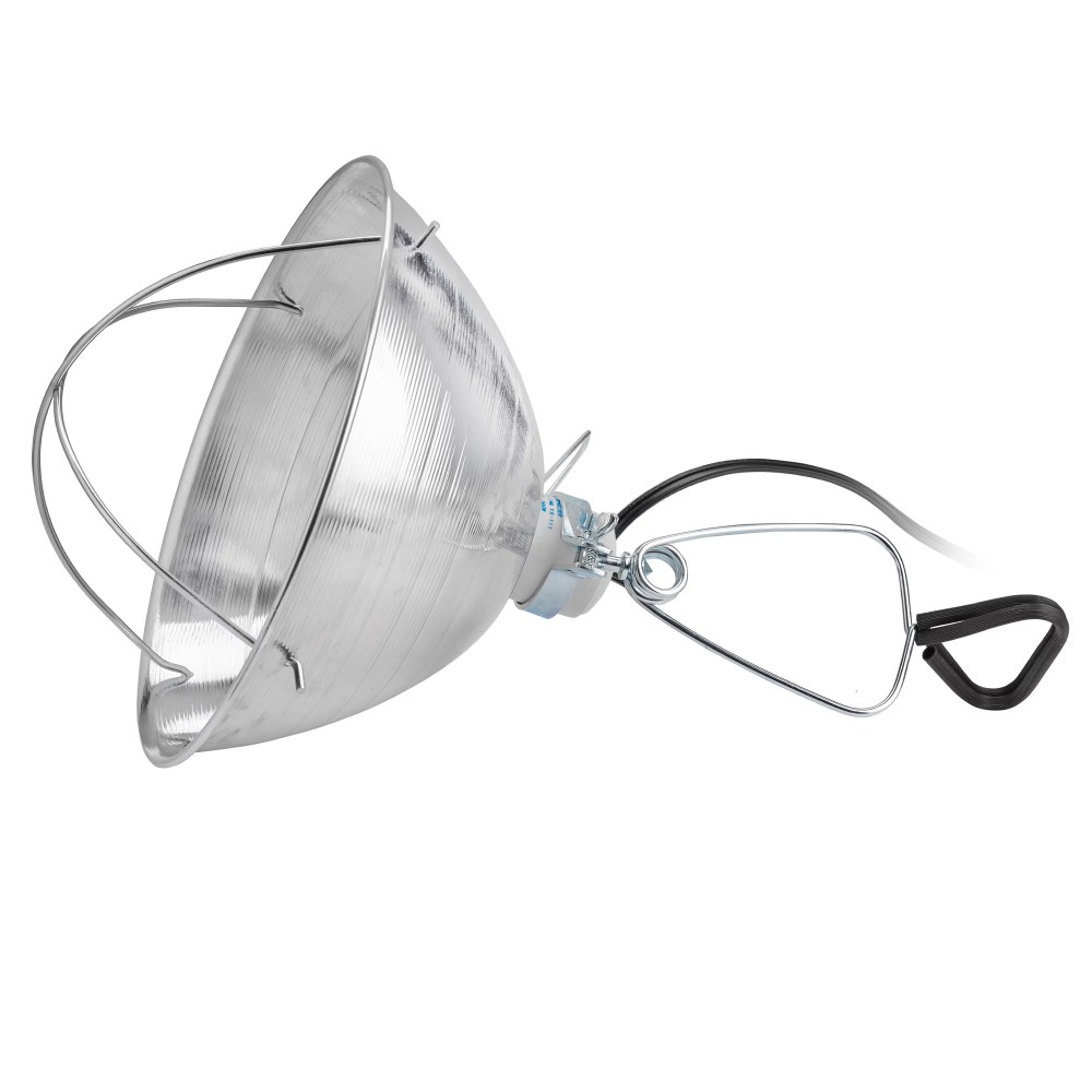 Aluminum Clamp Light with 10 P – обзор и цена Photography Lighting Workshops