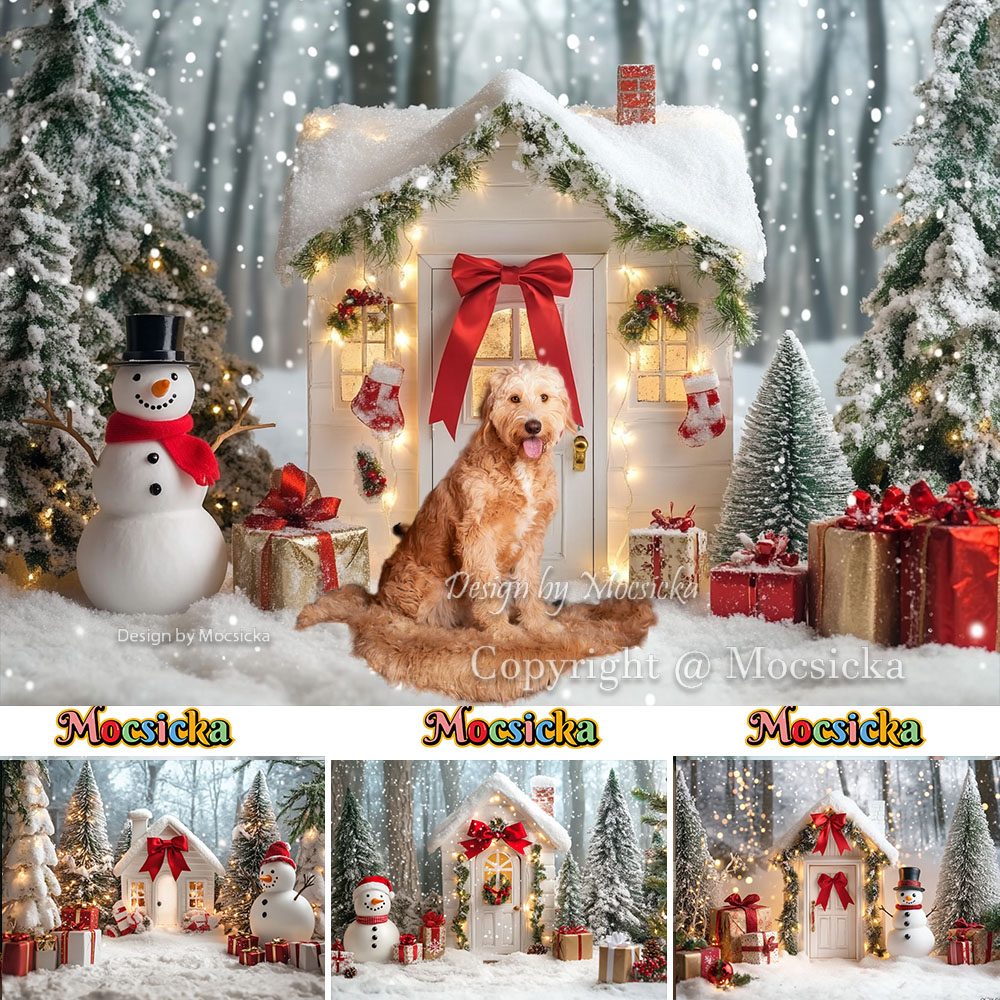 Mocsicka White Christmas House – обзор и цена Photography Lighting White Background